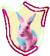 ����